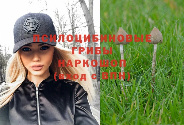 a pvp Магадан
