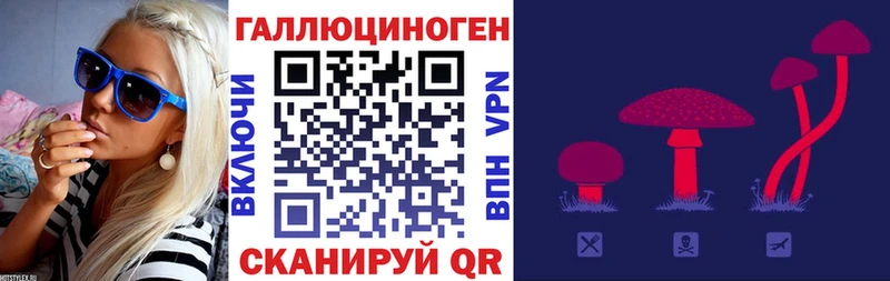 Галлюциногенные грибы прущие грибы  Таштагол 